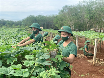 Đảm bảo tốt công tác huấn luyện tân binh tại Trung đoàn 88, Sư đoàn 302