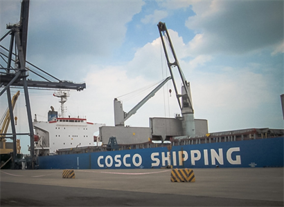 Vinacas muốn được Interpol Việt Nam hỗ trợ vụ 36 container điều bị mất kiểm soát