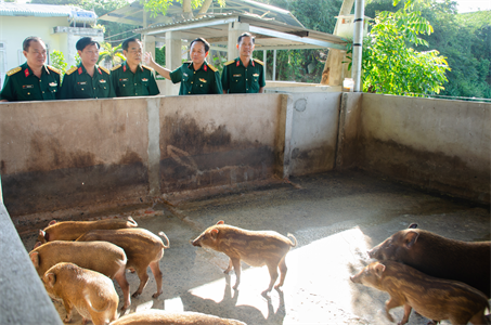 Tổng Cục Hậu cần kiểm tra công tác Quân nhu Trường Quân sự Quân khu