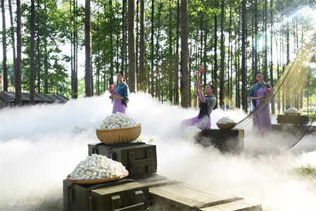 Họp báo giới thiệu chương trình “Lính và lụa”