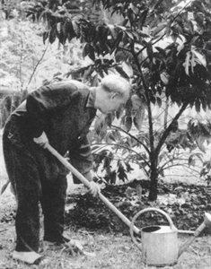 Kỷ niệm 127 năm ngày sinh Chủ tịch Hồ Chí Minh (19/5/1890 – 19/5/2017): Tư tưởng, đạo đức Hồ Chí Minh tinh hoa văn hóa dân tộc