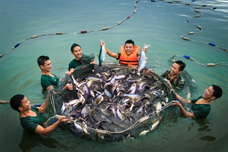 Quân khu 7: Bảo đảm tốt công tác hậu cần, tài chính cho nhiệm vụ huấn luyện, sẵn sàng chiến đấu