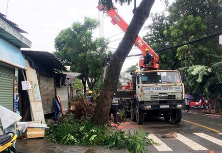 TP.HCM: Nhiều nơi thiệt hại nặng bởi cơn “cuồng phong”