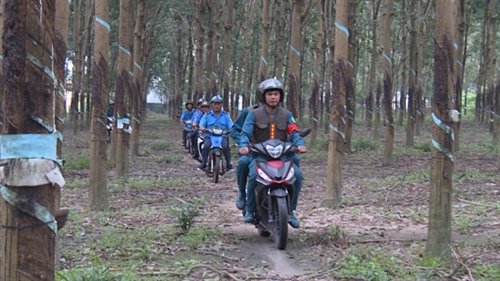 LLVT tỉnh Bình Dương: Tăng cường bảo đảm an ninh trật tự